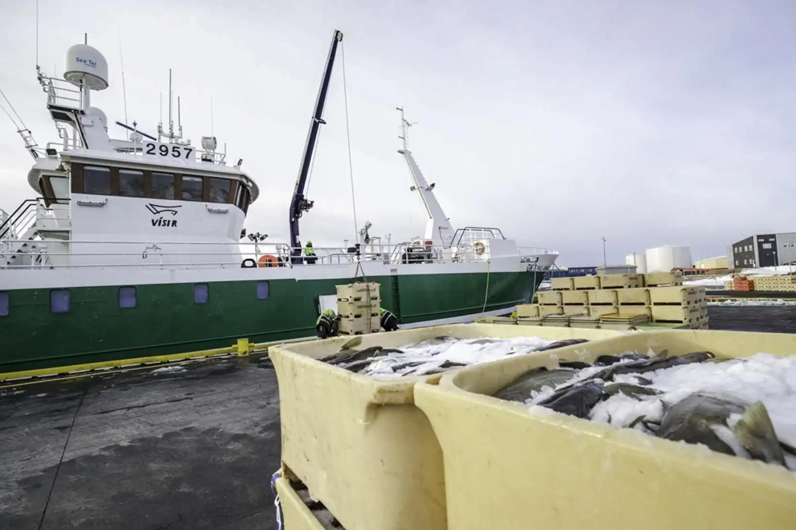 Góð keiluveiði í nýopnuðu hólfi - MBL.IS