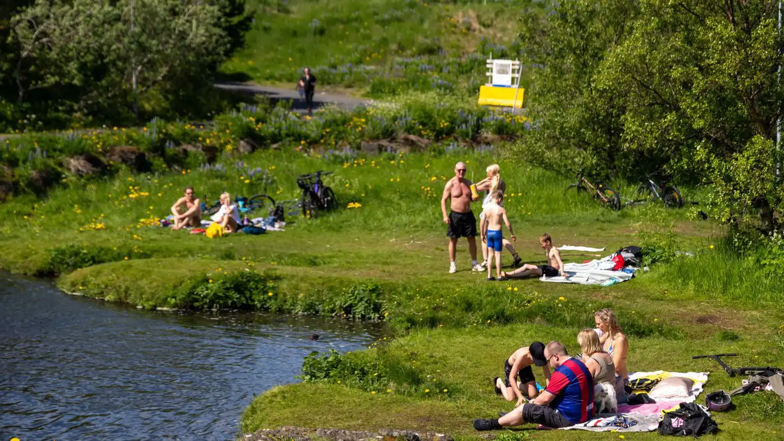 „Góðar líkur“ á því að margir sjái til sólar - Vísir