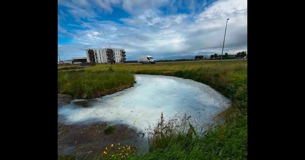 Grunur um mengun í Sauðá á Sauðárkróki