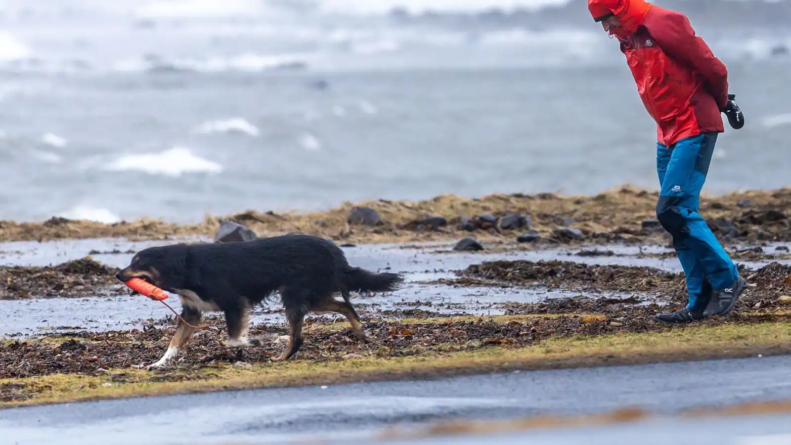 Gular við­varanir á Suður- og Vestur­landi - Vísir