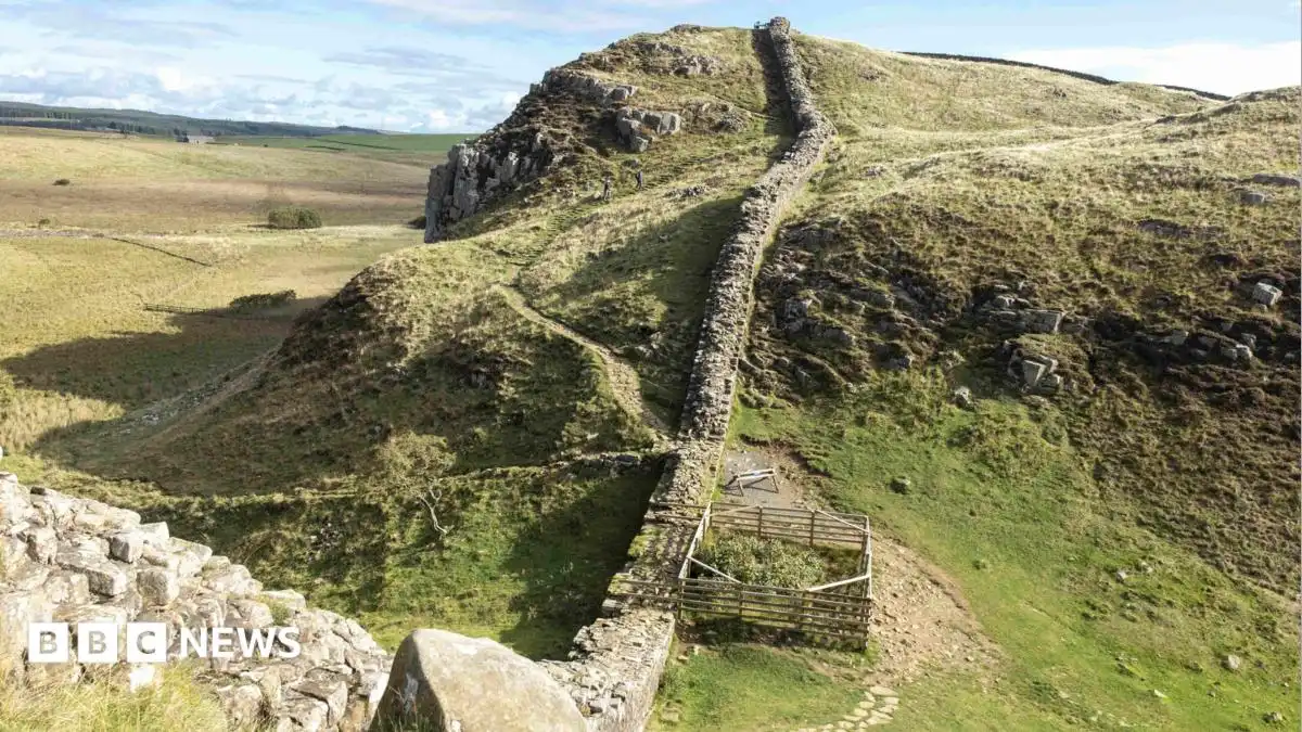 Hadrian's Wall Sycamore Gap tree stump shows 'encouraging' signs