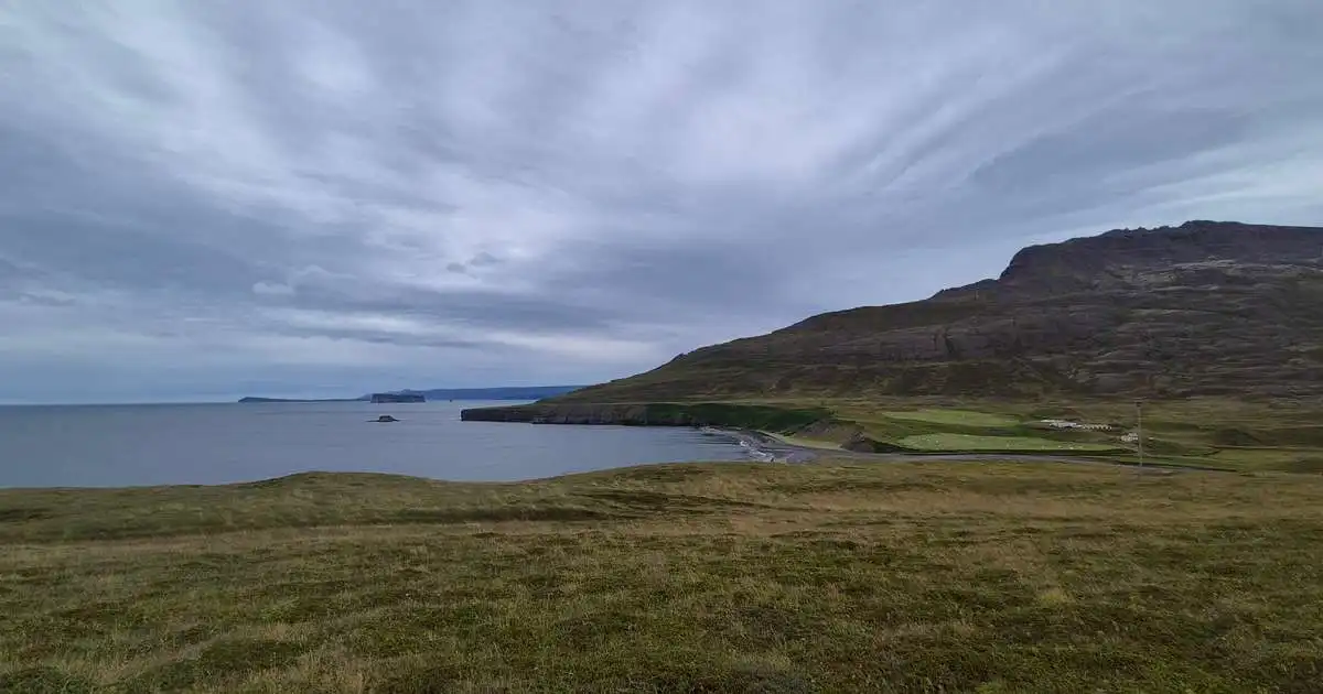 Hæg norðaustlæg átt, skúrir og þokuloft