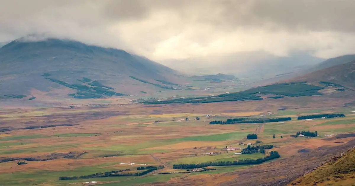 Hægur vindur en víða blautt