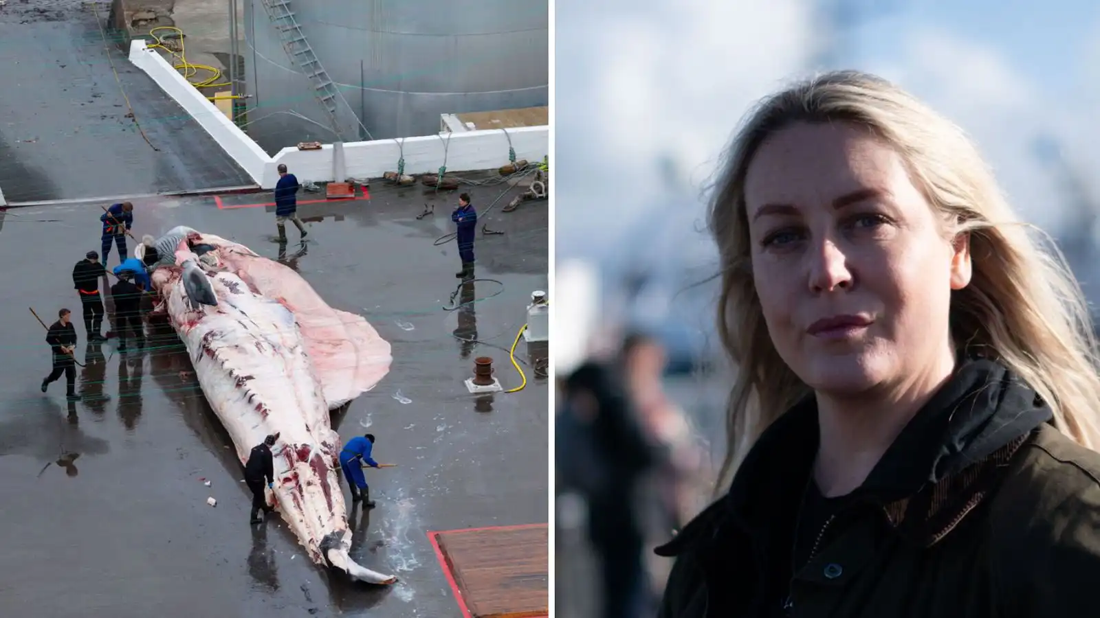 Hafa ekki gefið Land­helgis­gæslunni upp stað­setningu Bandero - Vísir