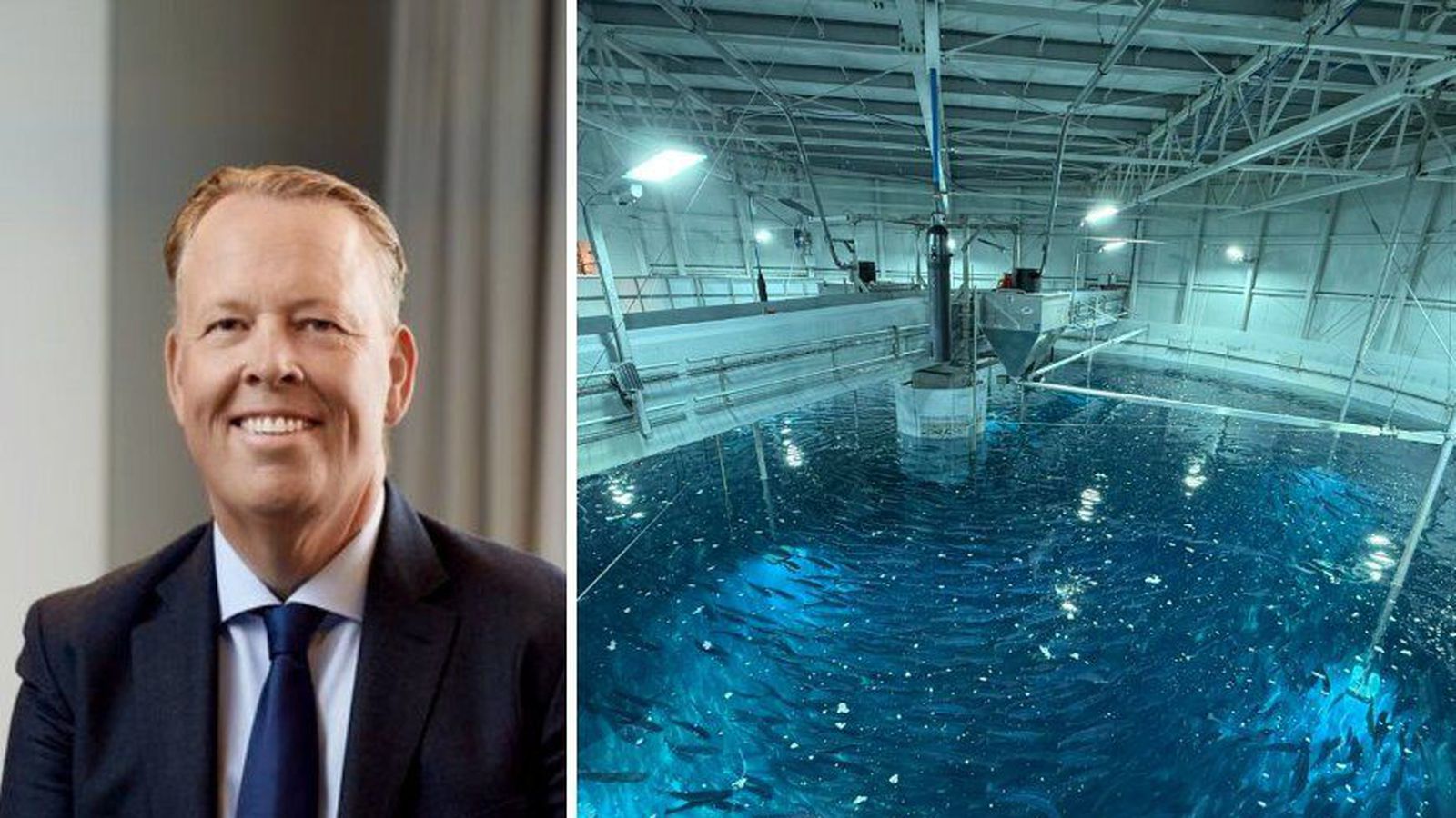 Hafa lokið ellefu milljarða króna fjár­mögnun - Vísir