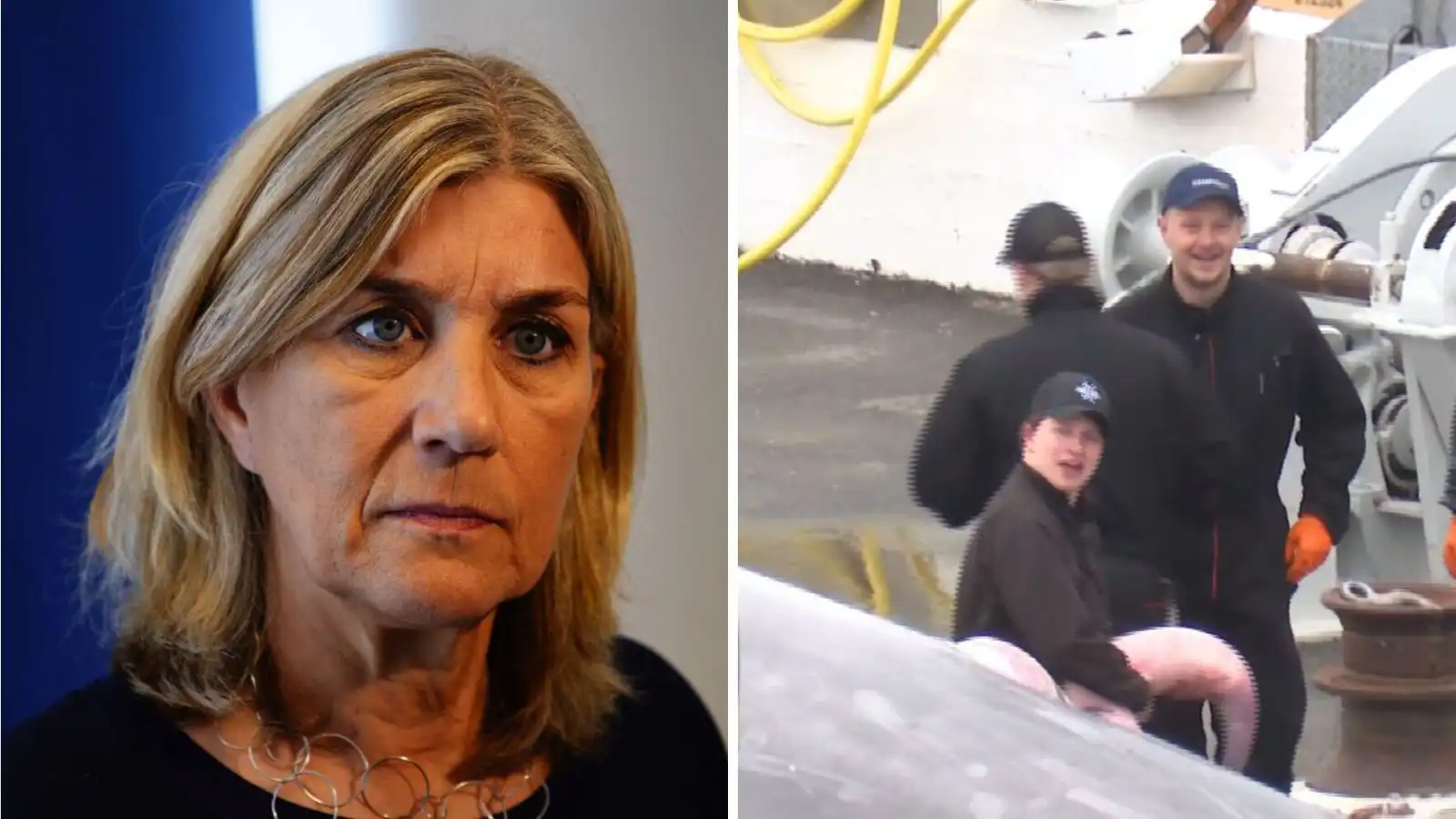 „Hagið ykkur eins og full­orðið fólk“ - Vísir