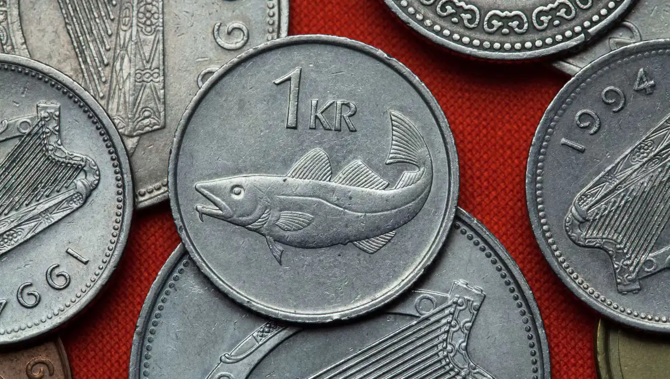 Hallgrímur segir fund á háaloftinu dæmisögu um íslensku krónuna