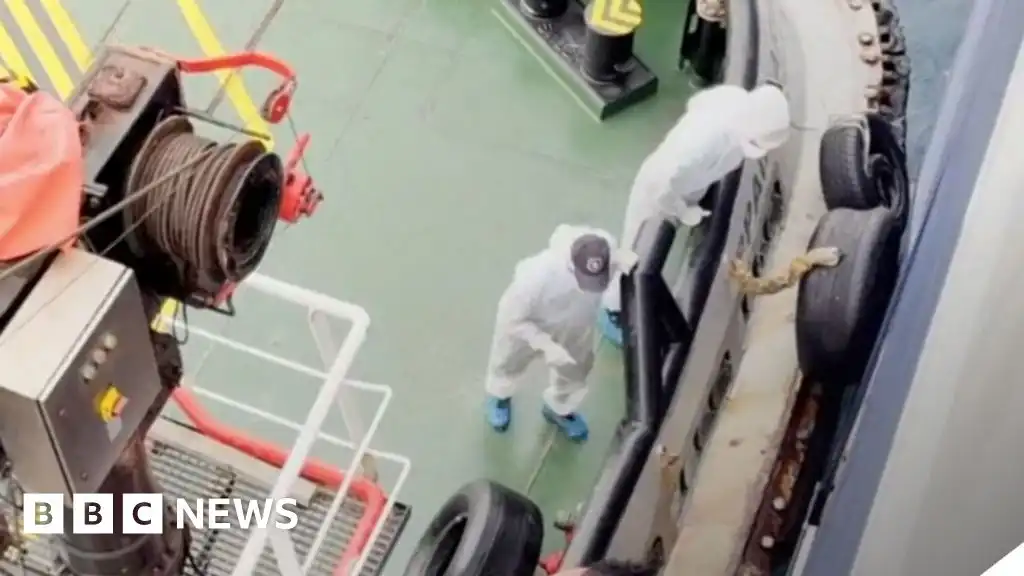 Hantavirus strain that spreads between humans found in cruise ship passengers