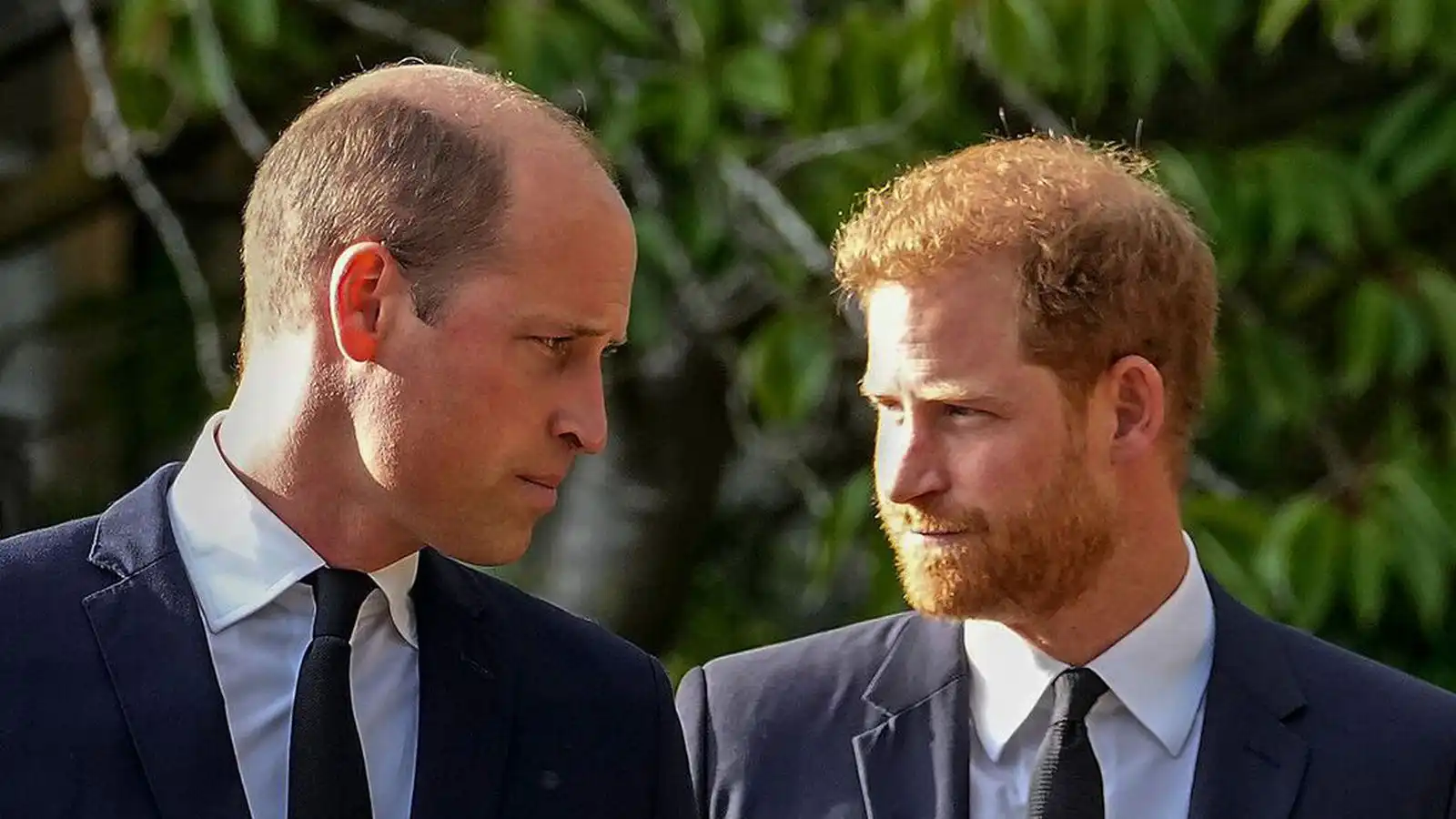 Harry vill sættast við fjöl­skylduna - Vísir