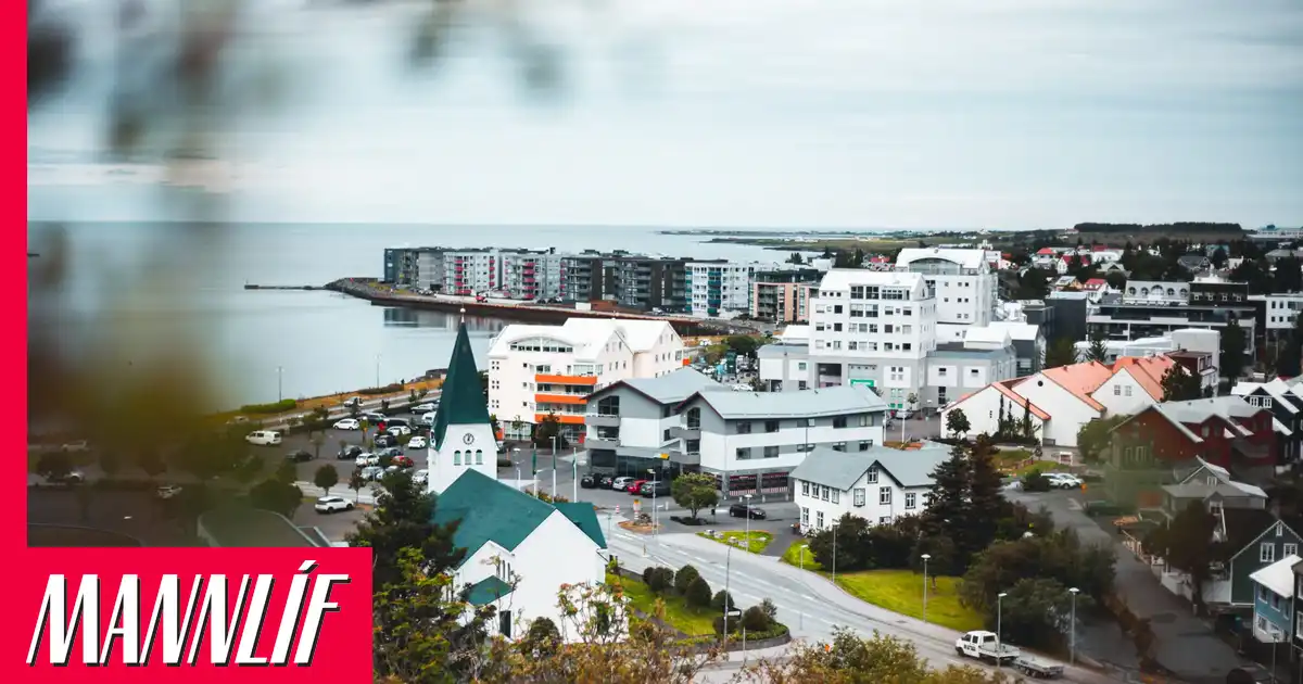 Heilbrigðiseftirlitið mætti með gröfu og dró upp óvæntan feng
