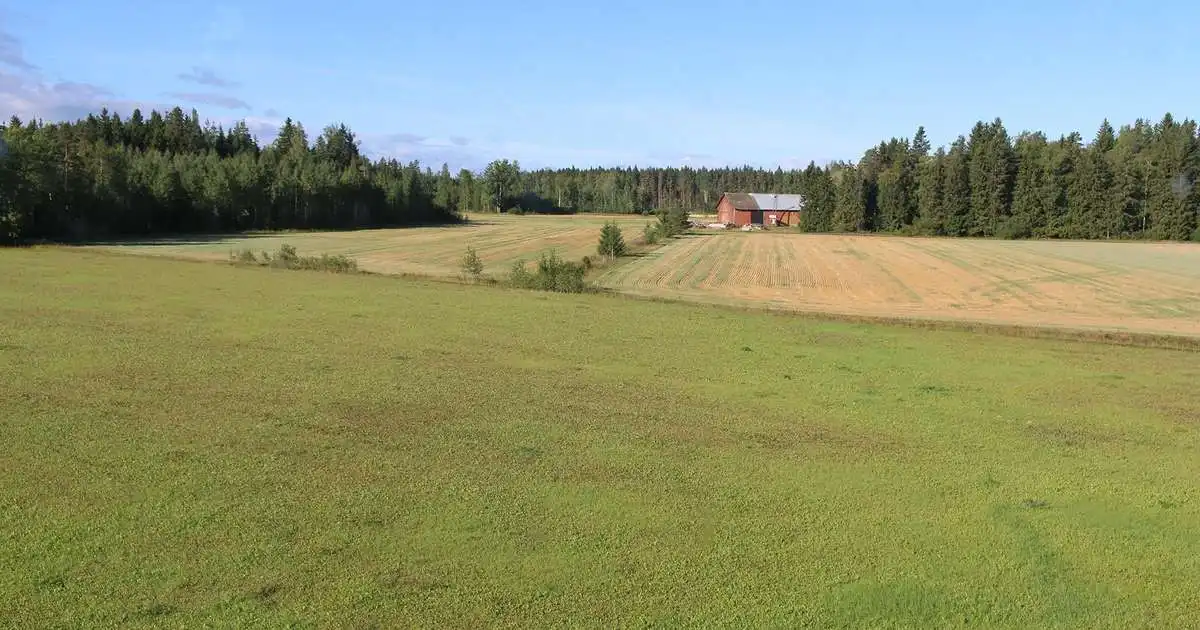 Héldu velli þrátt fyrir miklar áskoranir og breytingar