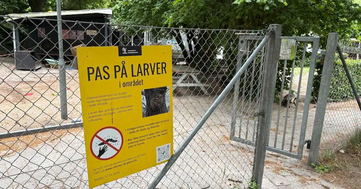 Helvítislirfan komin til Kaupmannahafnar