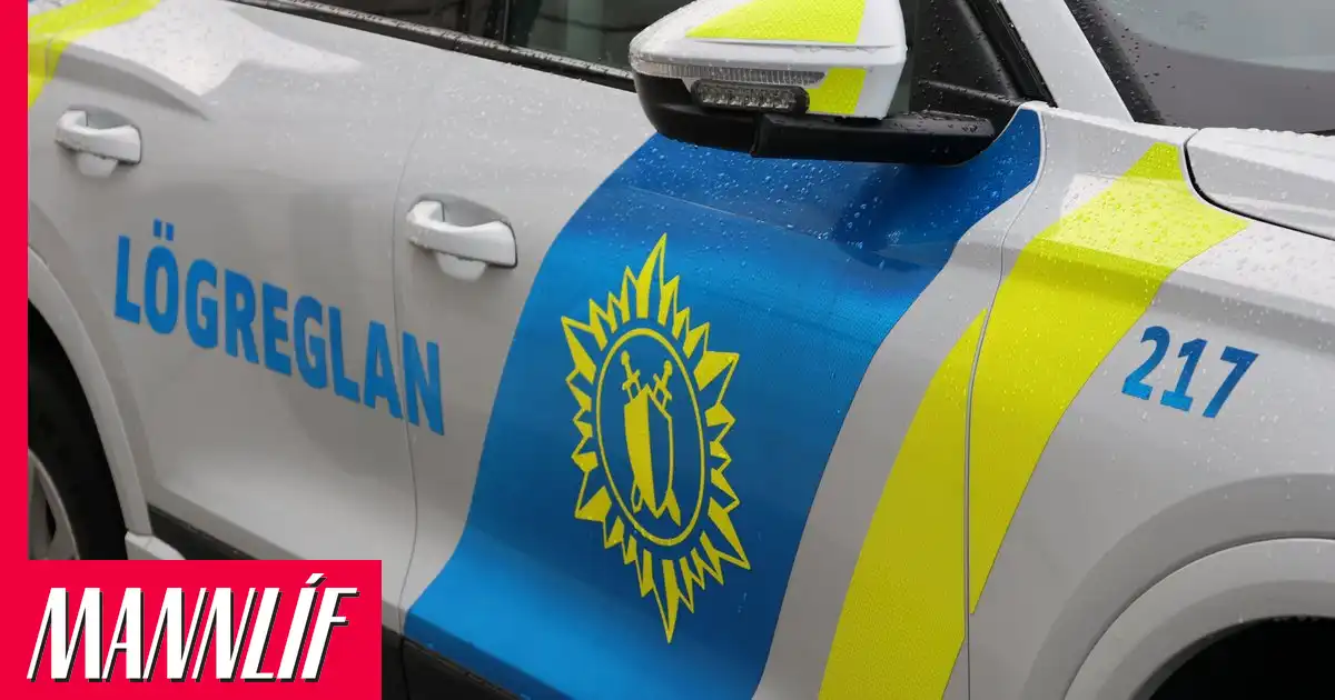 Hin látnu á Krýsuvíkurvegi voru fædd á árunum 2005 til 2009