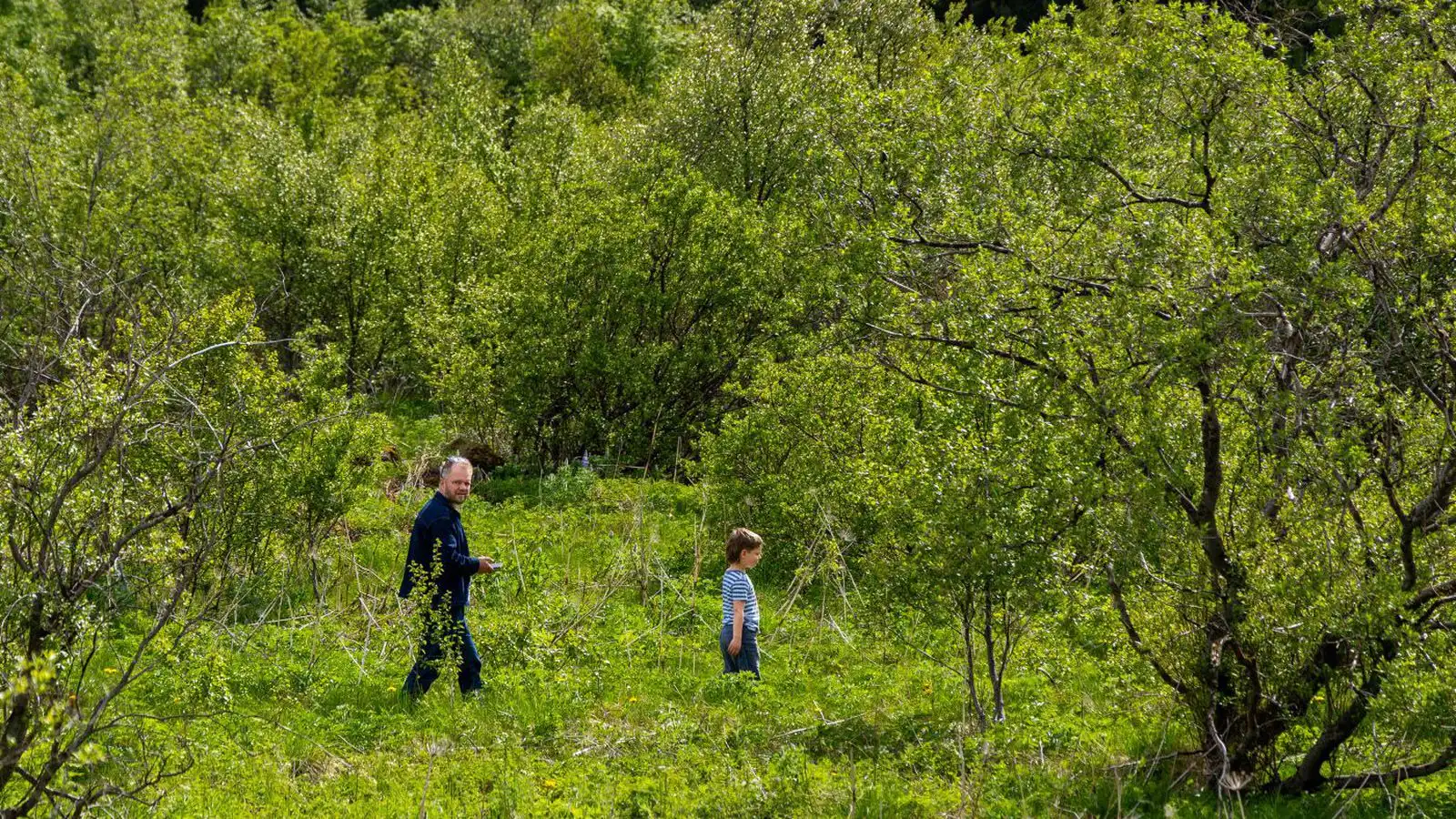 Hiti á bilinu sjö til tuttugu stig - Vísir