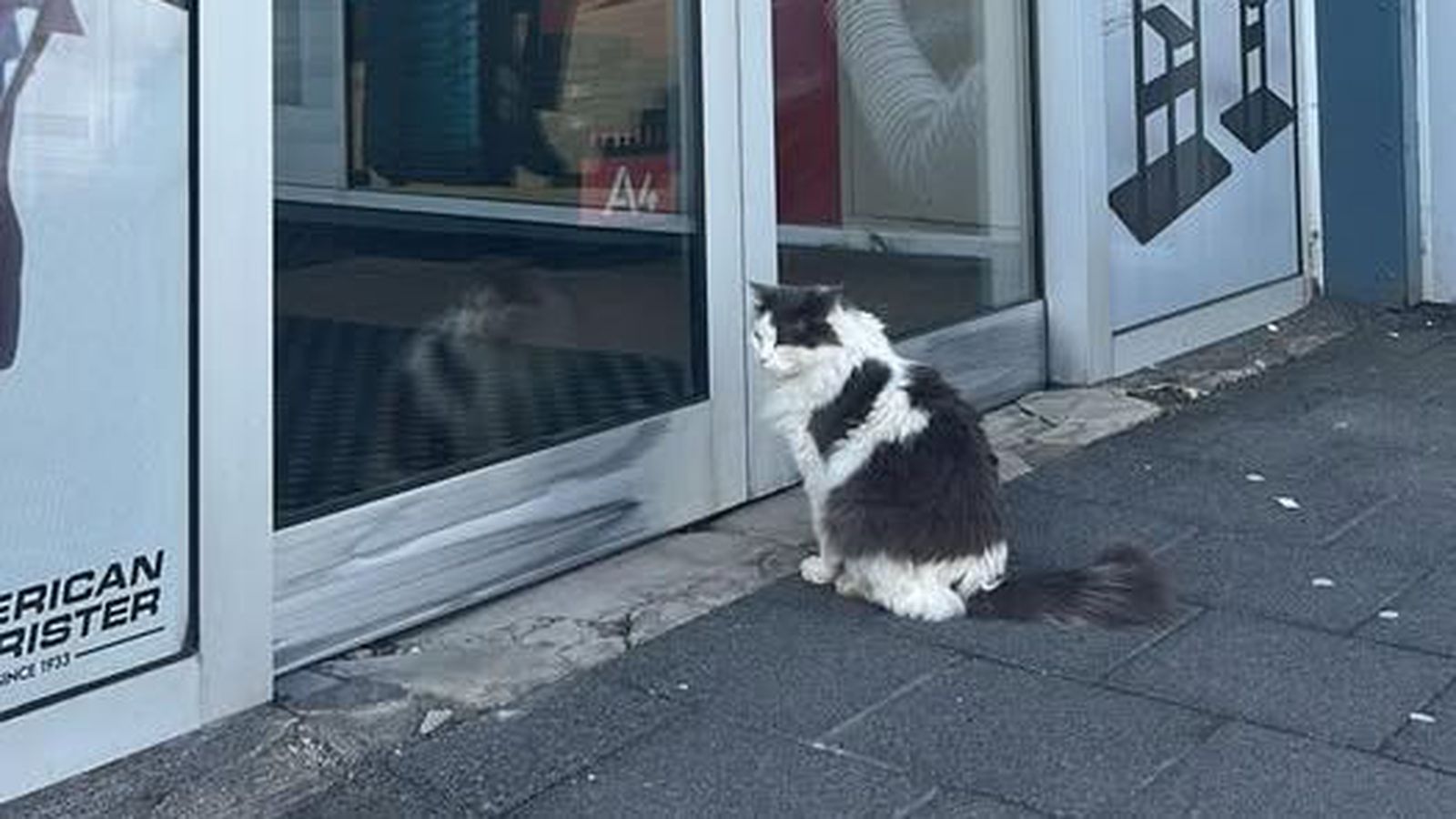 Höfðinginn átti sig ekki á lokuninni - Vísir