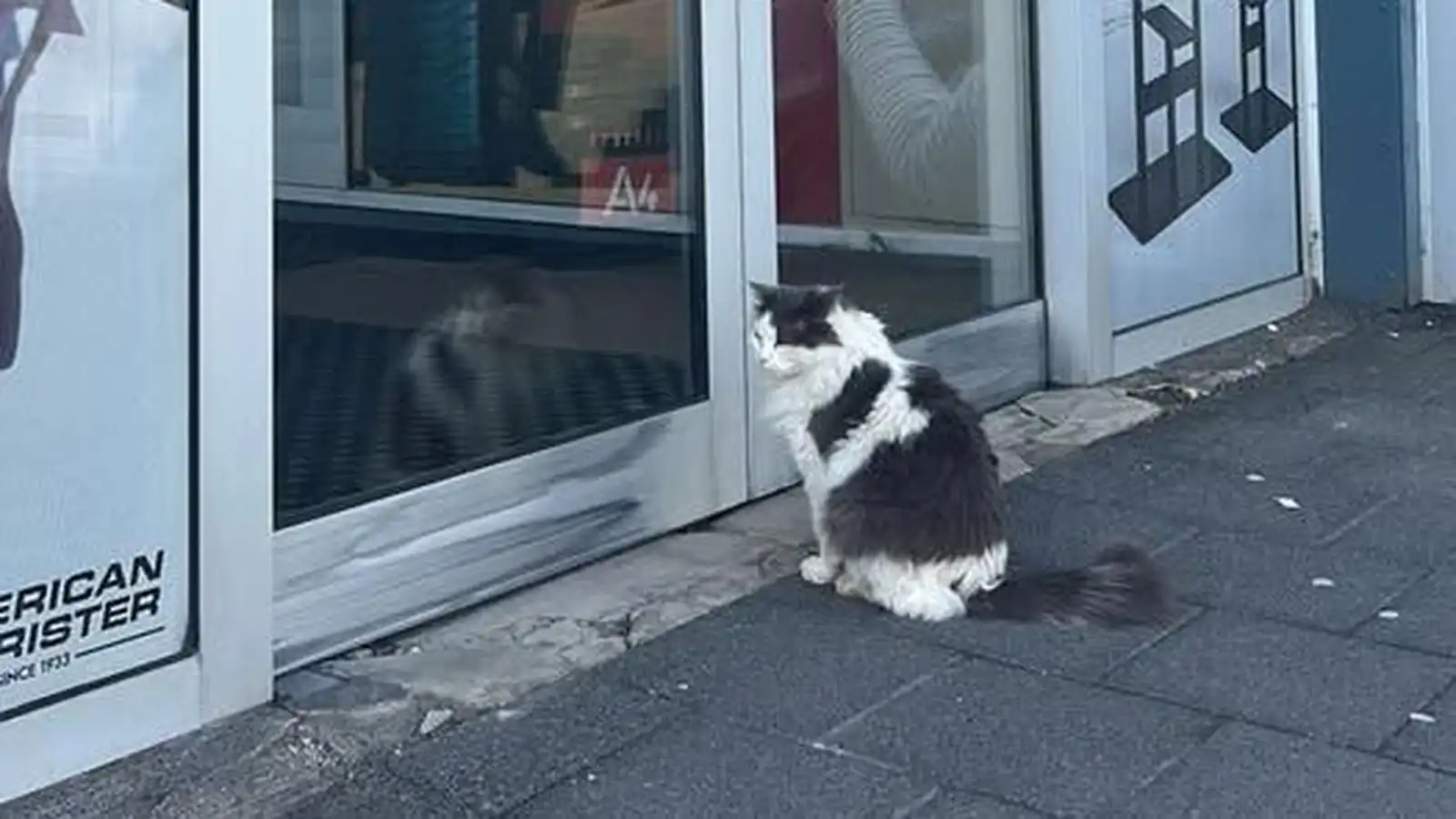 Höfðinginn átti sig ekki á lokuninni - Vísir