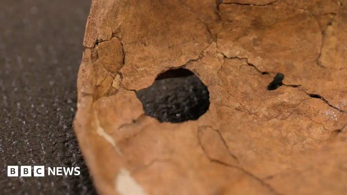 Hole in Neanderthal shoulder bone linked to ancient wooden spear