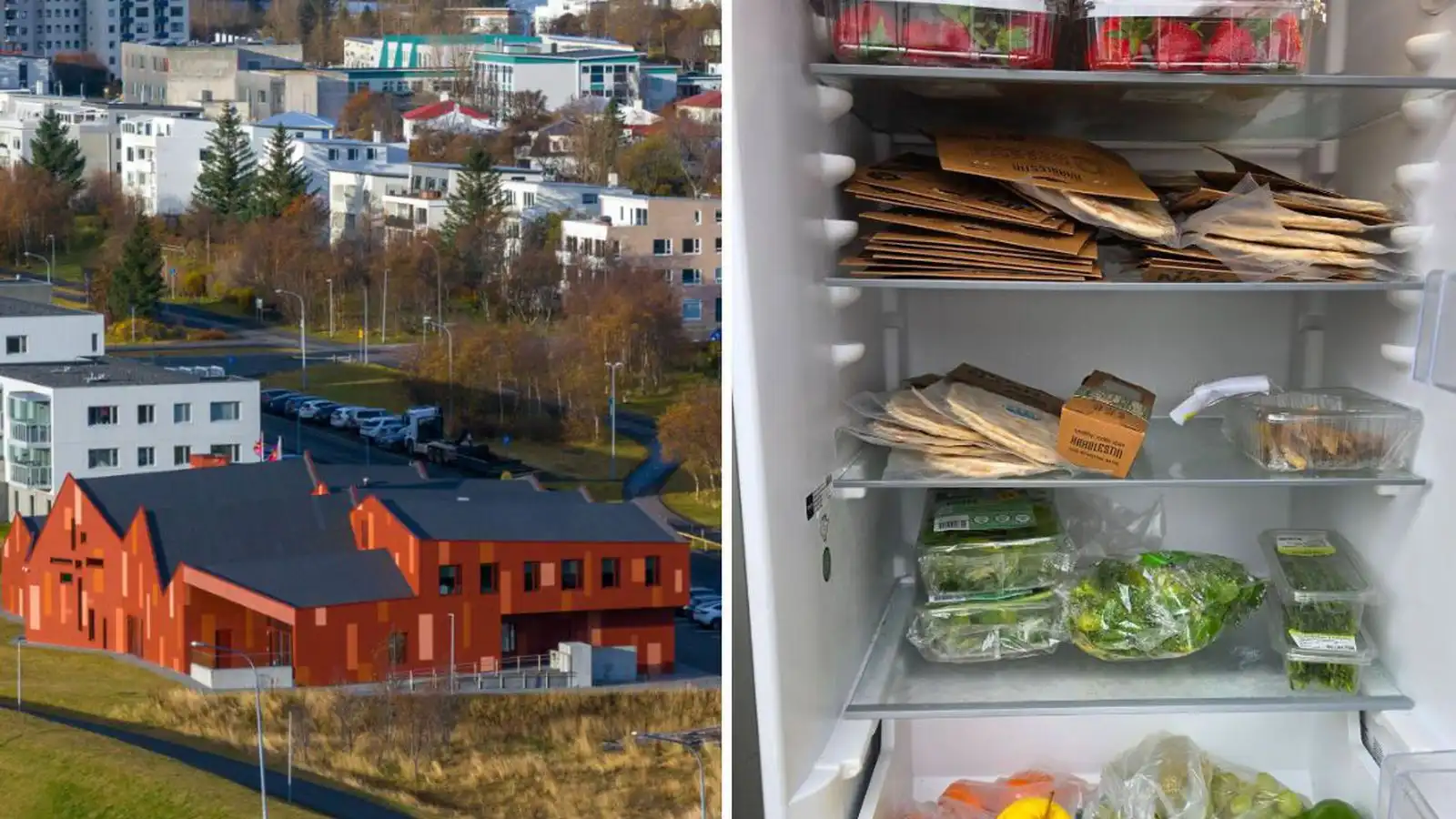 Hópur fólks hafi setið um matinn í frískápnum - Vísir
