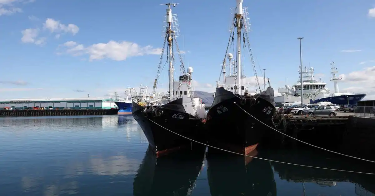 Hótun gegn hvalveiðiskipum metin ótrúverðug
