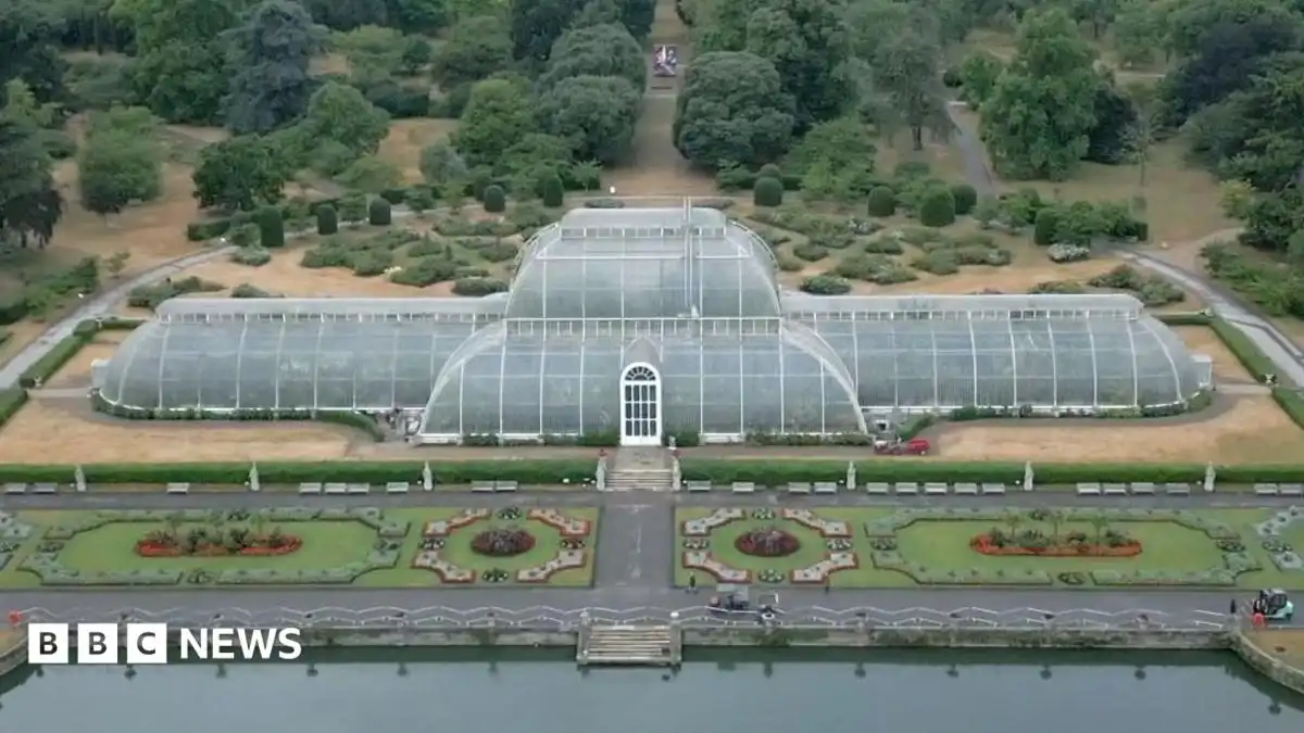 How to move 1,300 plants for Kew’s Palm House mega makeover