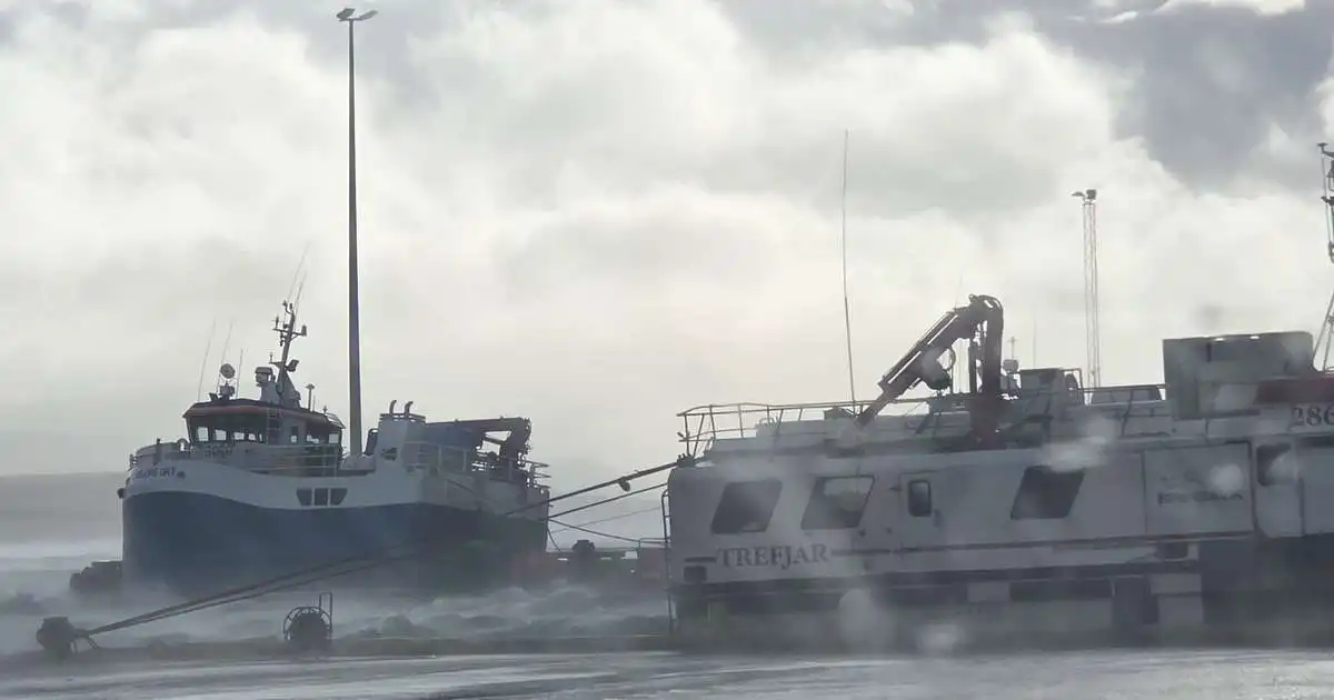 Hríðarviðvaranir á Norðurlandi með kvöldinu