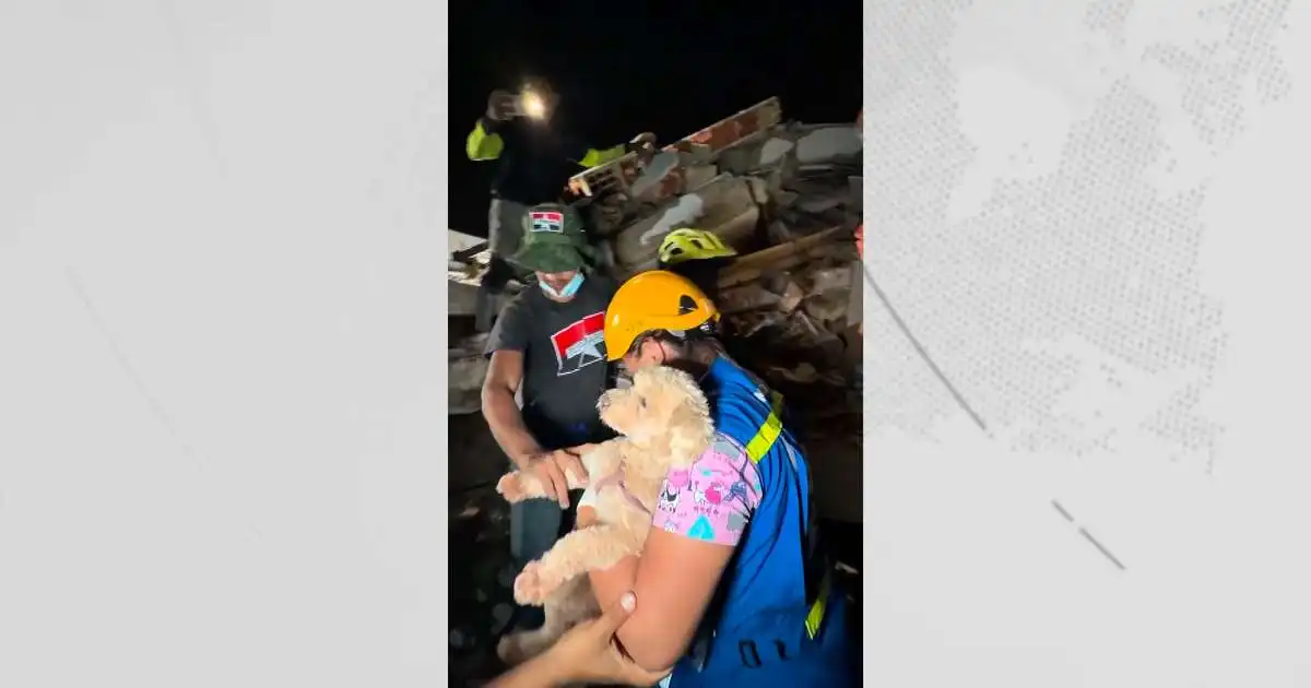 Hundi bjargað á lífi úr húsarústum í Venesúela