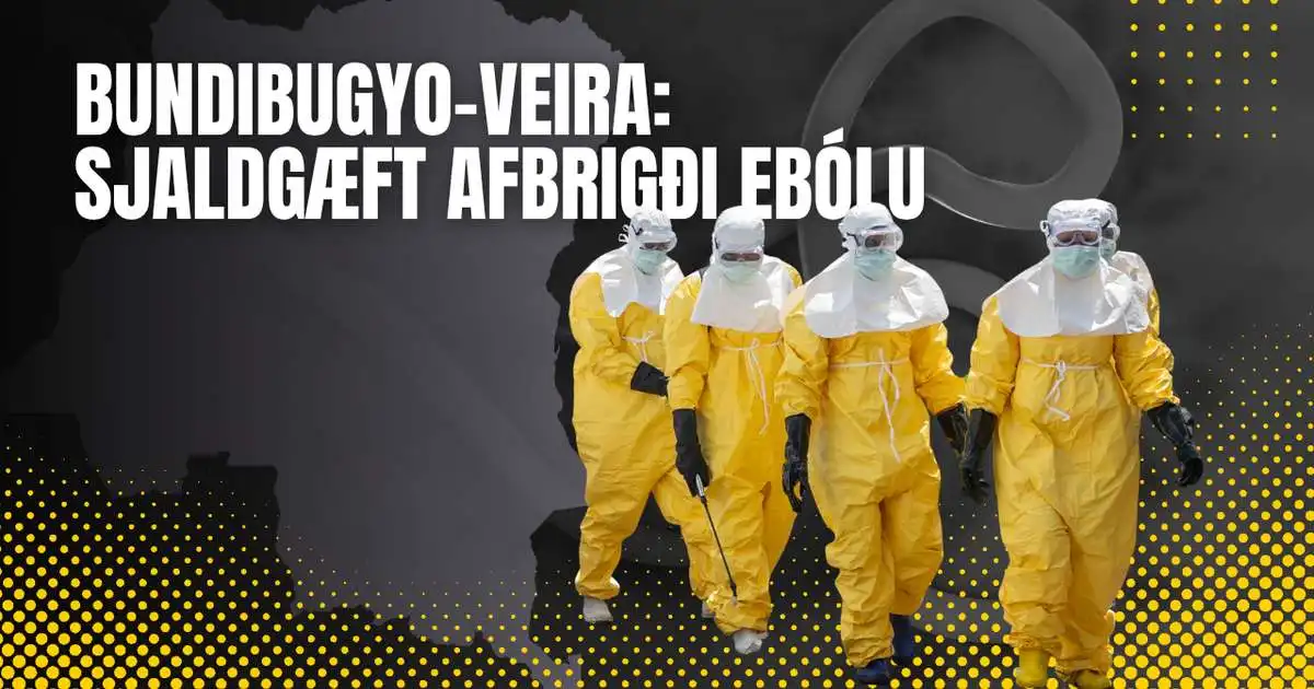 Hvað er ebóla? - RÚV.is