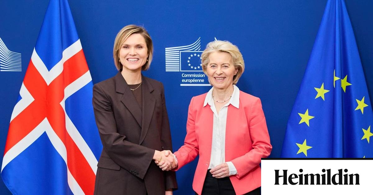 Hvað er rétt um kosti og galla aðildar og viðræðna við ESB?