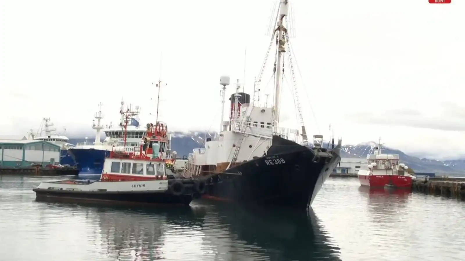 Hvalbátarnir komnir úr klössun fyrir ver­tíðina - Vísir