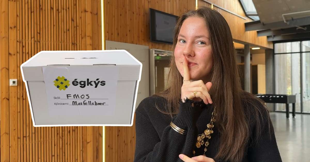 Hvern ætli þessi framhaldsskólanemi kjósi?