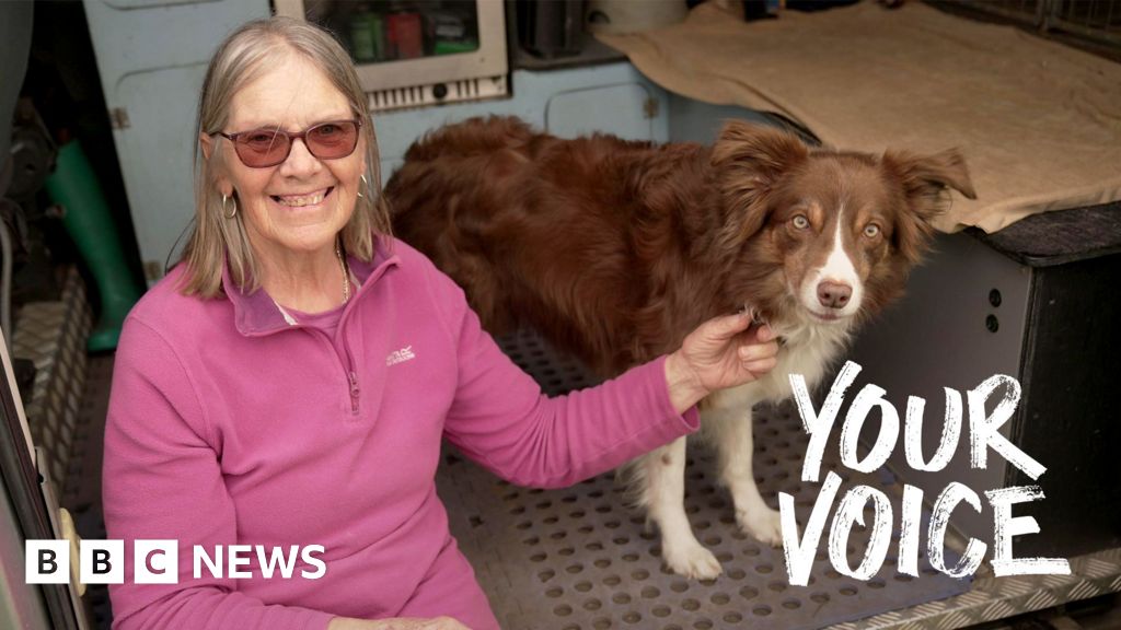 I was left with an £8,000 vet bill when my insurer cancelled my pet policy