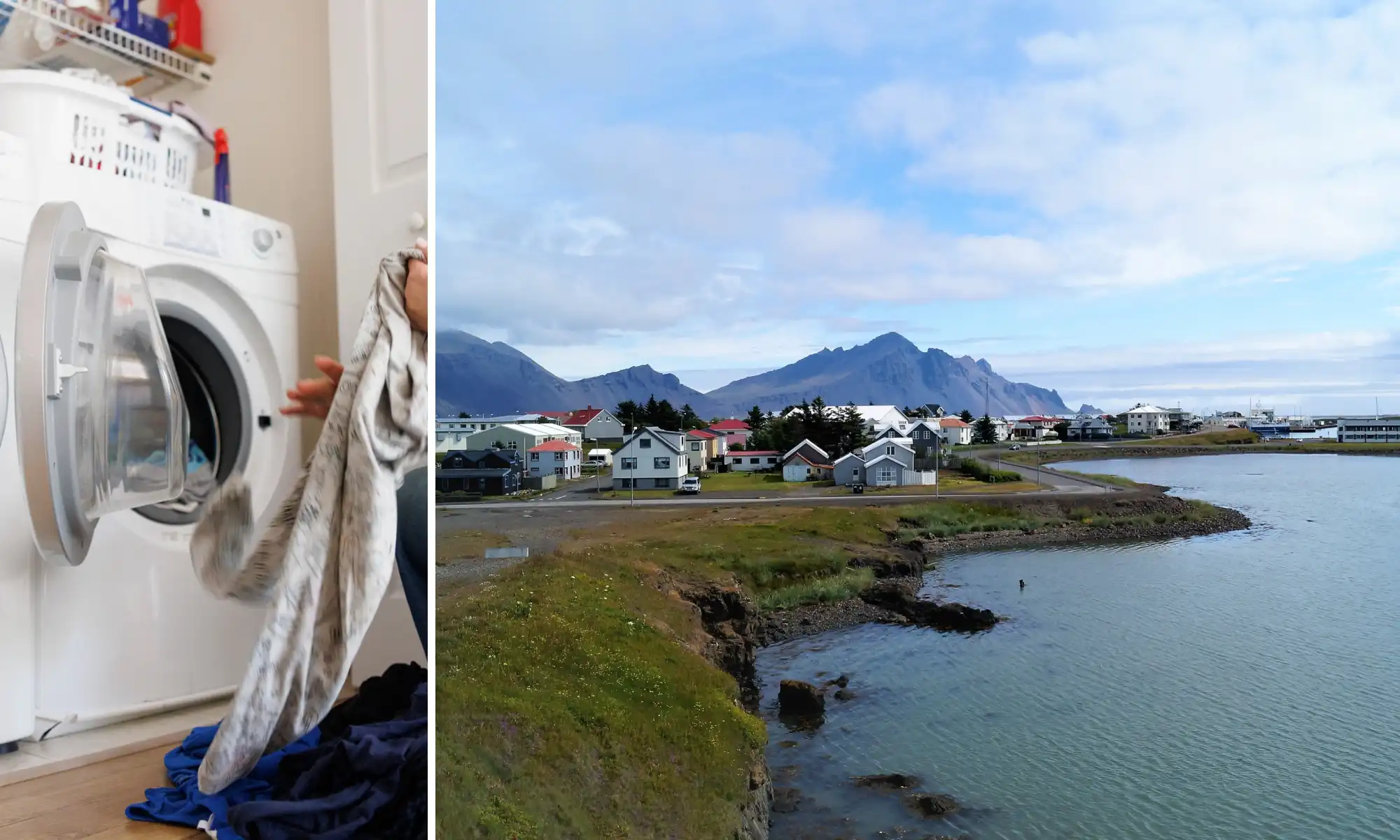 Íbúi á Höfn öskraði þegar hann sá hvað leyndist í þvottahúsinu: „Þessi kom hlaupandi á mōrgum fótum“