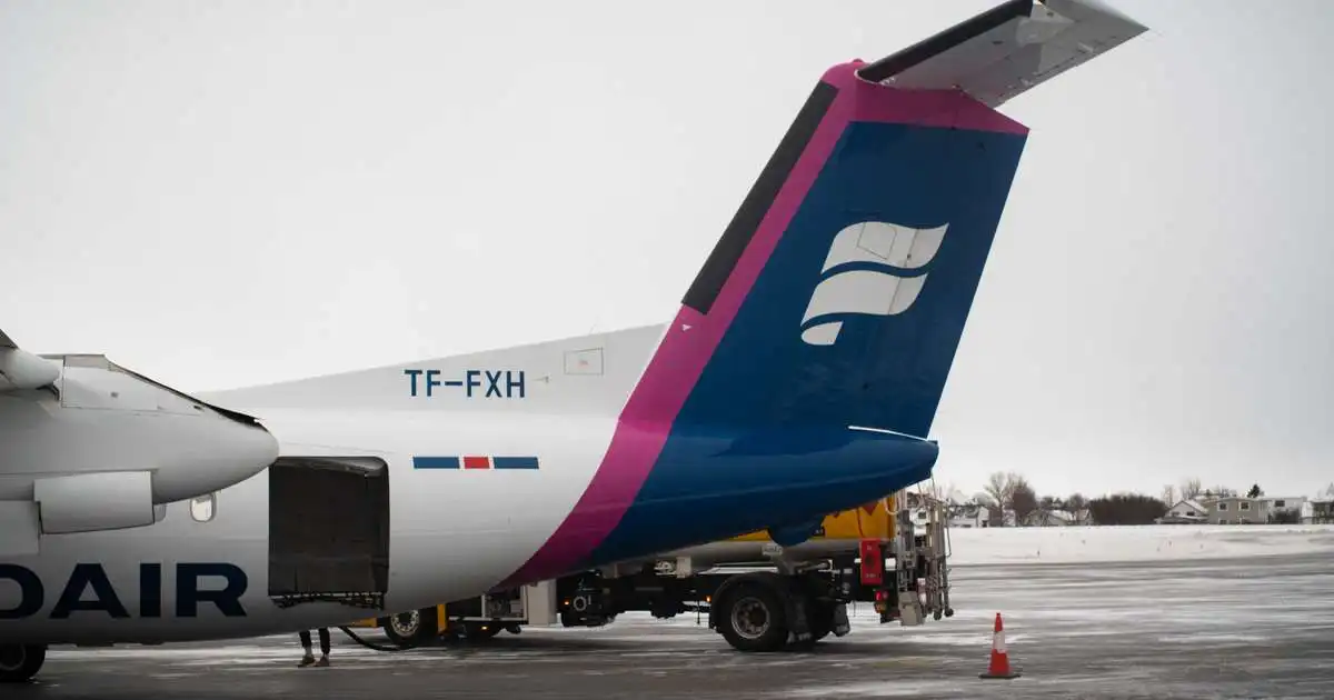 Icelandair krefst frávísunar í meiðyrðamáli foreldra Sólons