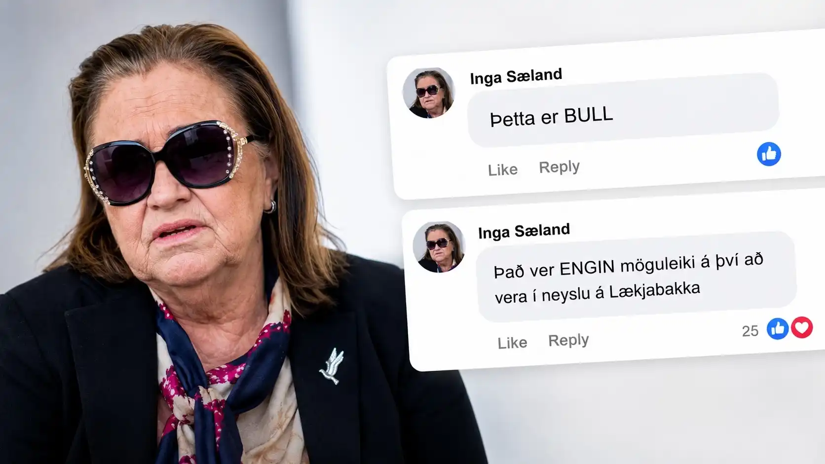 Inga Sæland tók sér veikindaleyfi eftir stormasama umræðu á Facebook