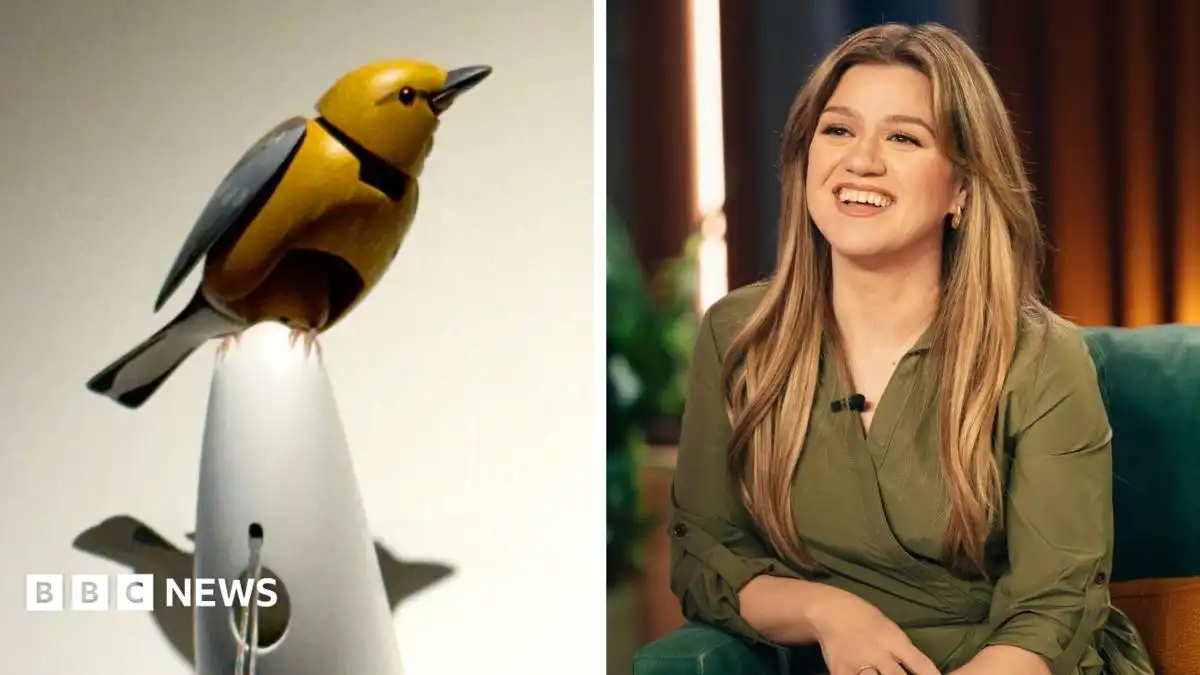 Inside Brooklyn novelty shop at centre of 'surreal' row with Kelly Clarkson over mechanical bird