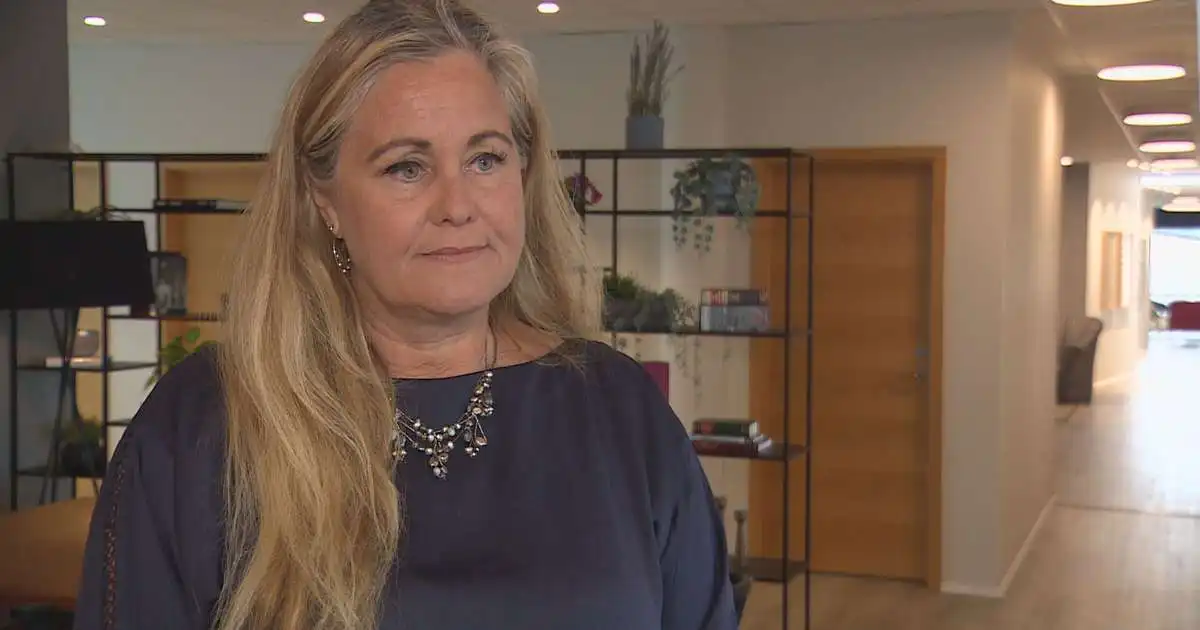 Ísland er berskjaldað gagnvart erlendum áhrifaöflum í kosningabaráttunni
