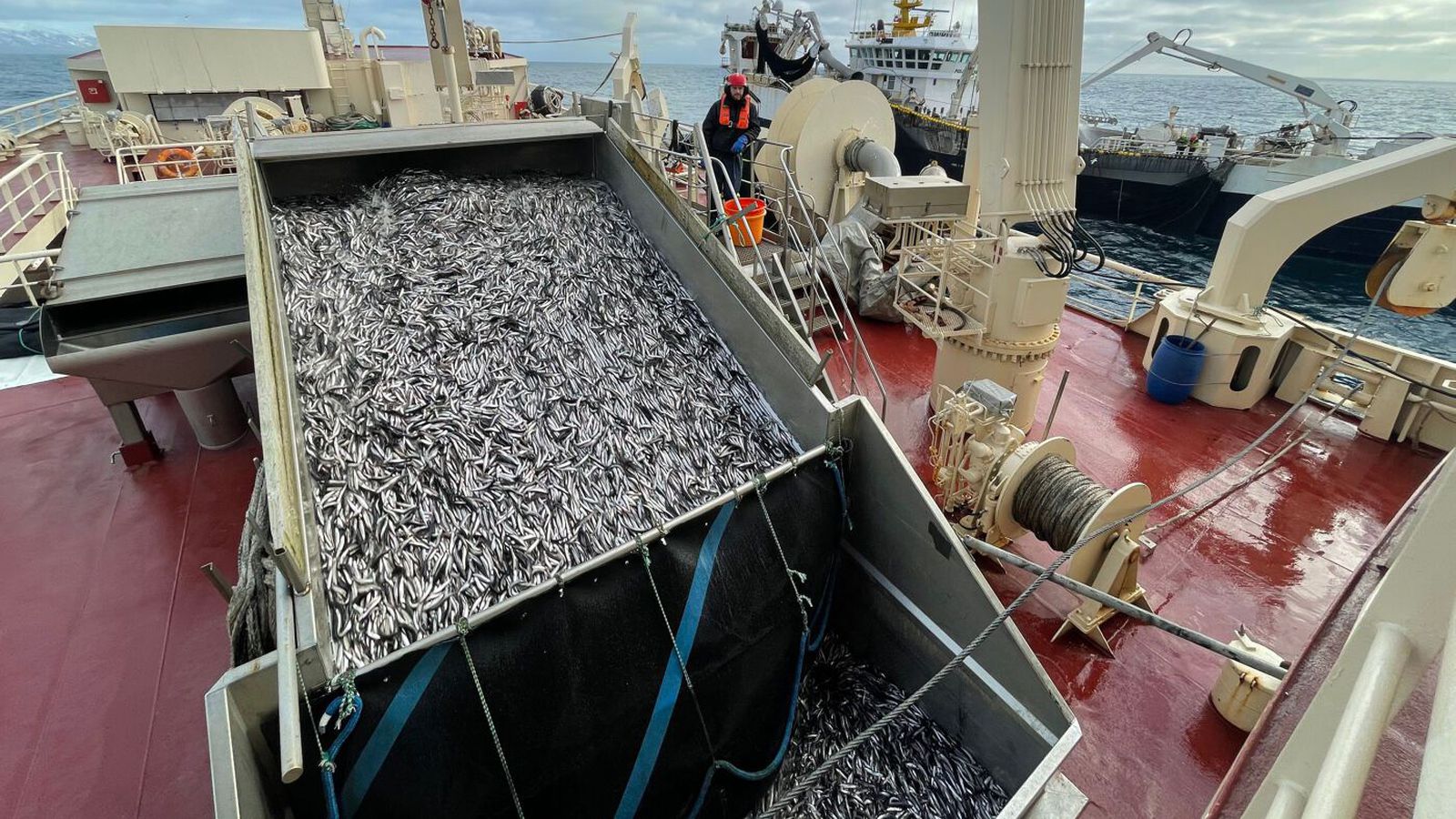 Ís­landi lýst sem „nú­tíma fámennisveldi“ uppfullu af spillingu - Vísir