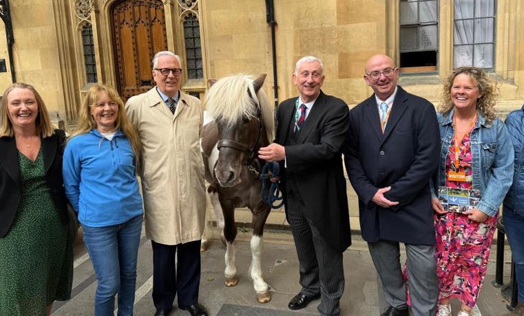 Íslenski hesturinn Prestur í breska þinghúsinu - DV