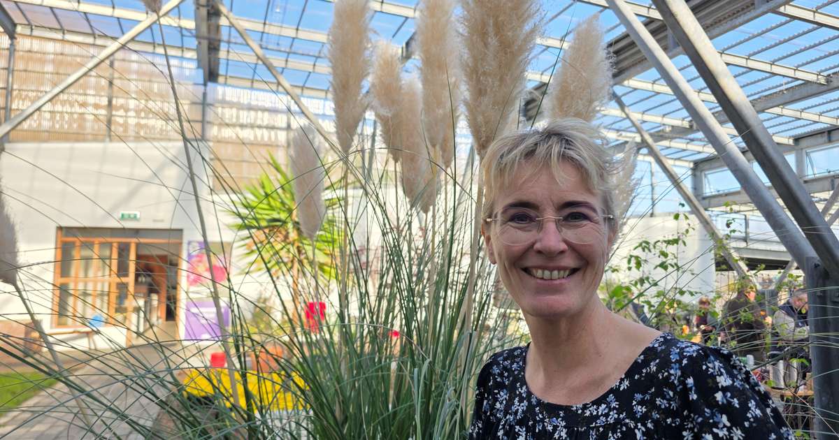 Íslenskt kaffi ræktað í Garðyrkjuskólanum á Reykjum í Ölfusi