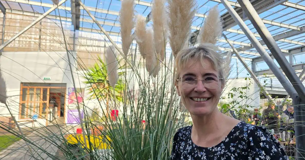 Íslenskt kaffi ræktað í Garðyrkjuskólanum á Reykjum í Ölfusi