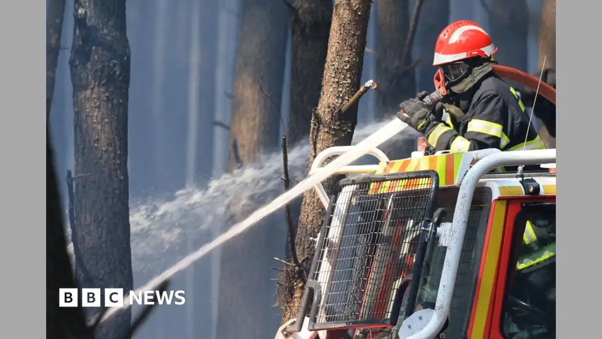 'It's our home, it's our forest': BBC speaks to locals fighting France wildfire
