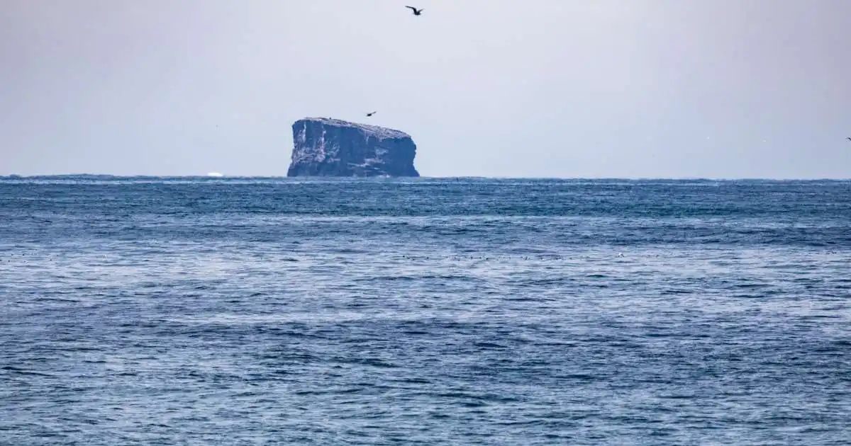Jarðskjálftahrina á Reykjaneshrygg