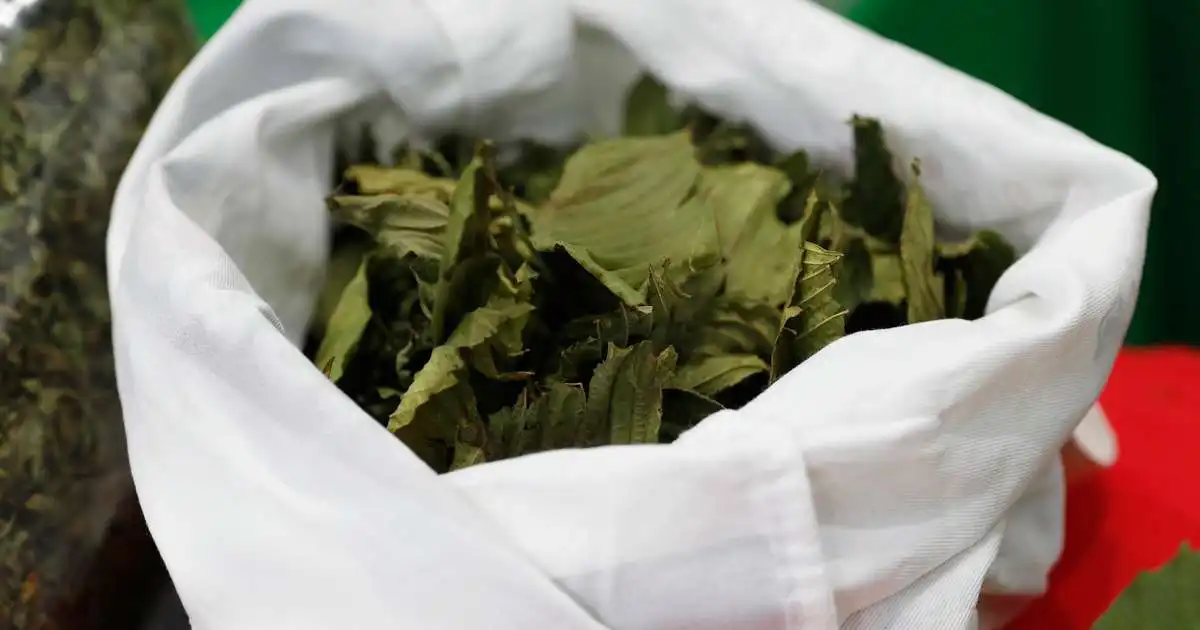 Játaði innflutning á kratom og sagðist fá sér það eins og kaffi