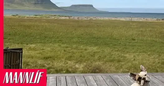 Kallaði til lögreglu vegna ástands hundapassara