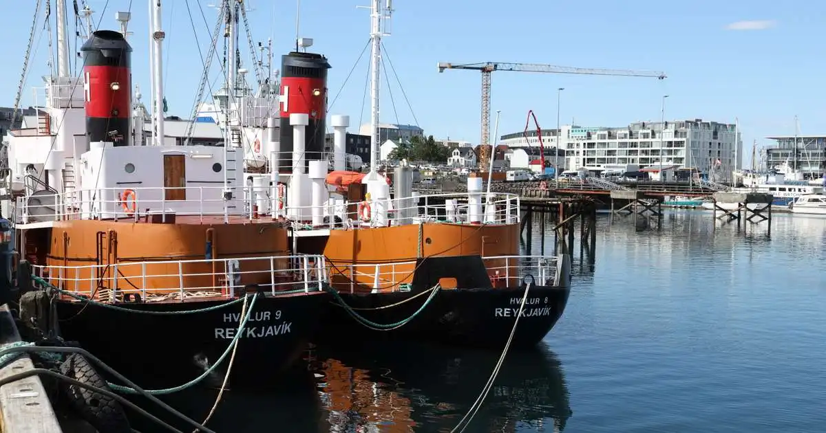 Karlar og eldra fólk hlynntara hvalveiðum