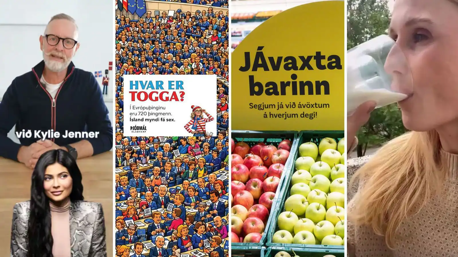 Kjánalegustu augna­blikin í um­ræðunni um aðildar­við­ræður - Vísir