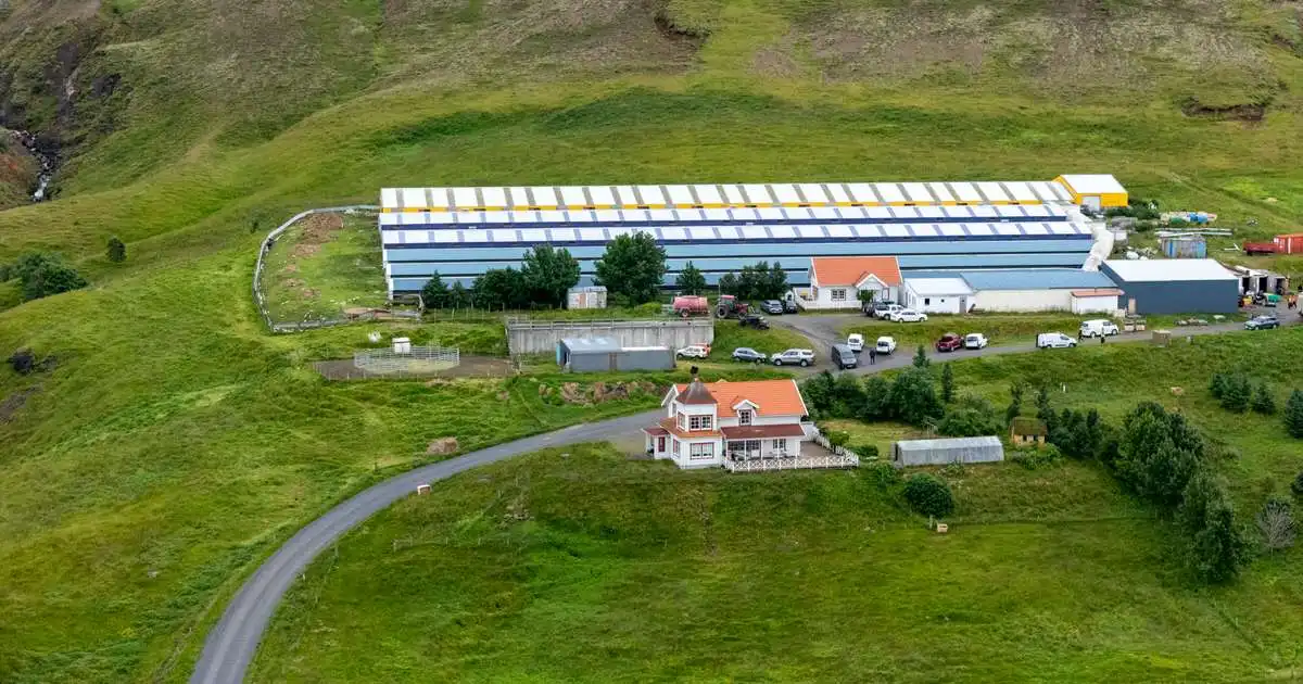 Klipptu á háfa og ekki ólíklegt að innbrotin þrjú tengist