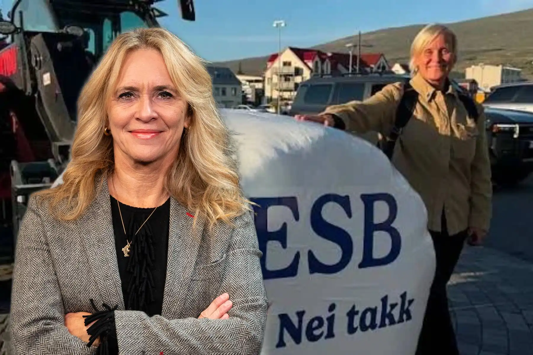 Kolbrún Bergþórsdóttir skrifar: Sársvektu nei-sinnarnir