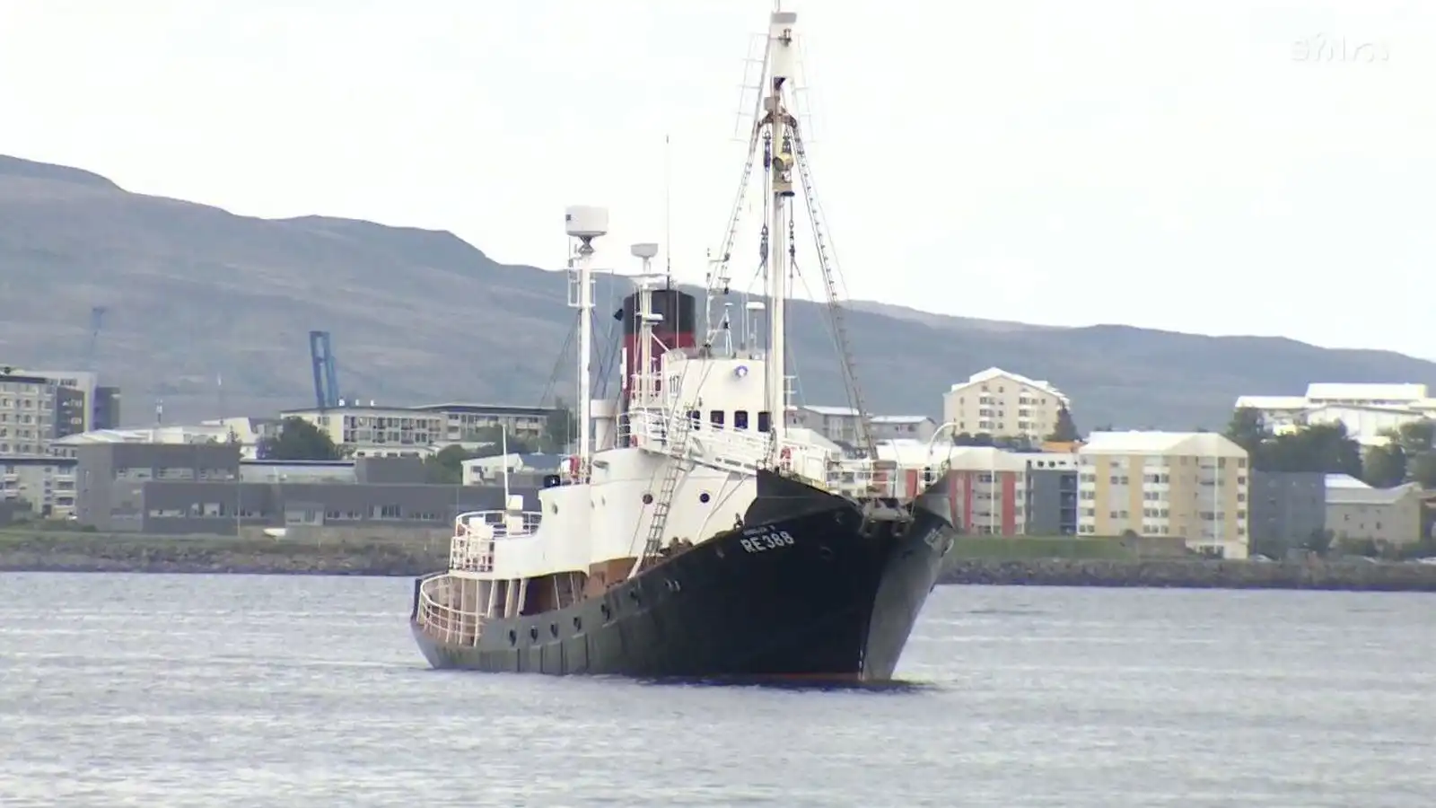 Kompásar stilltir fyrir komandi hval­veiðar - Vísir