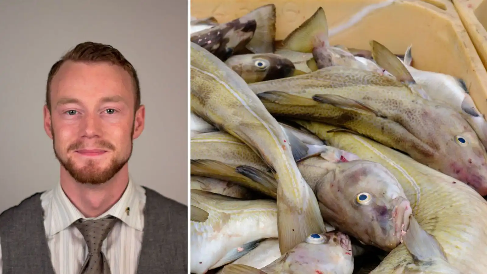 Kvarta til ESA og Um­boðs­manns Al­þingis vegna milli­verðlagningar út­gerðar­fyrir­tækja - Vísir